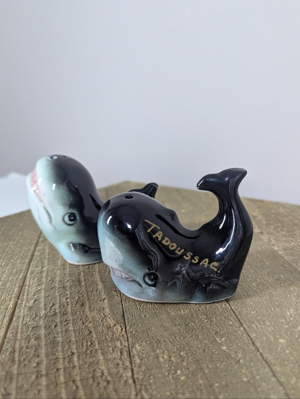 Vintage Tadoussac Quebec Whale Salt & Pepper Shakers Souvenir Set - Picture 4 of 8